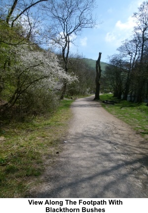 View along the footpath in Dovedale