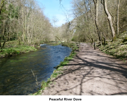 River Dove