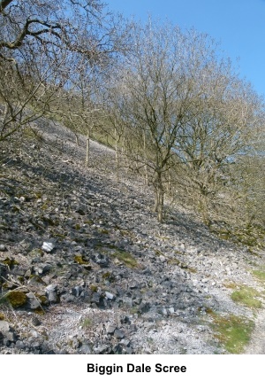 Biggin Dale scree