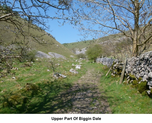 Upper part of Biggin Dale