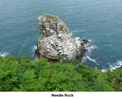 Needle Rock.