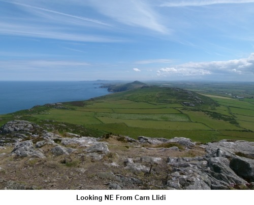 View from Carn Llidi