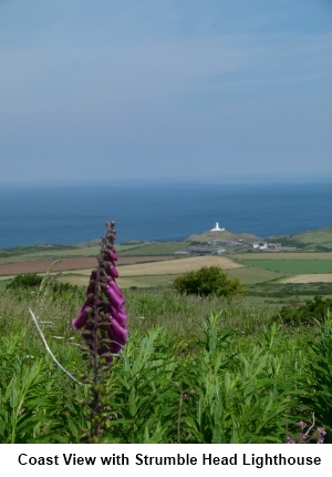 Strumble Head