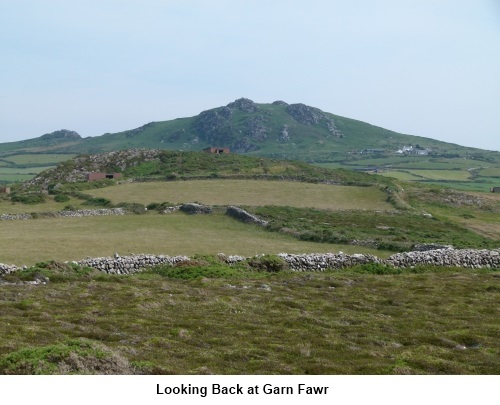 Garn Fawr