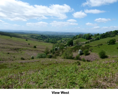 The view west, nearing the top of Brown Clee Hill.