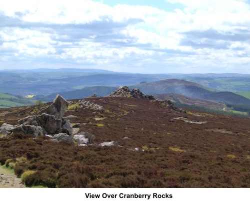 View over Cranberry Rocks