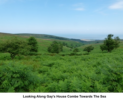 Looking along Gay's House Combe to the sea