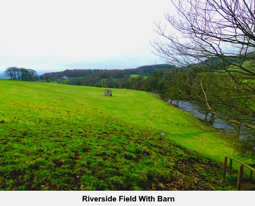 Riverside firld with barn.