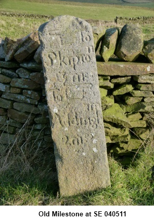 Ancient milestone at SE 045511