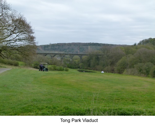 Tong Park viaduct.