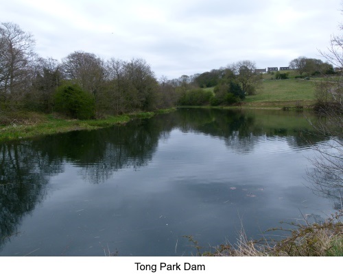 Tong Park Dam.