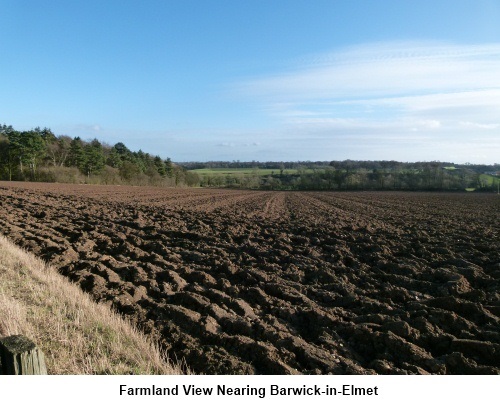 Farmland View