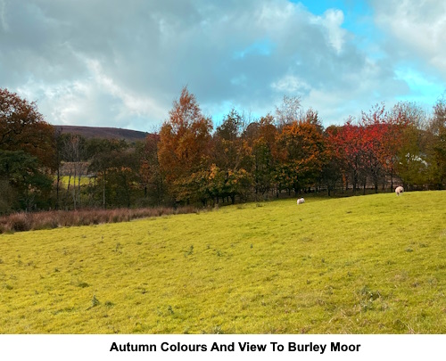 Autumn colours and the view to Burley Moor.