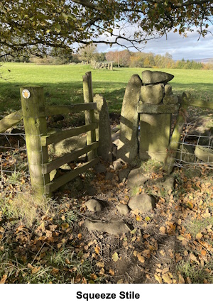 Squeeze stile.