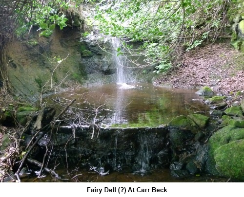 Pool at Carr Beck