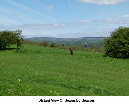 Beamsley Beacon