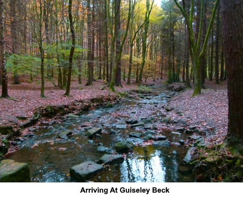 Arriving at Guiseley Beck.