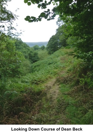 Looking along Dean Beck