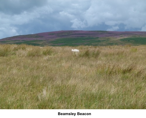 Beamsley Beacon