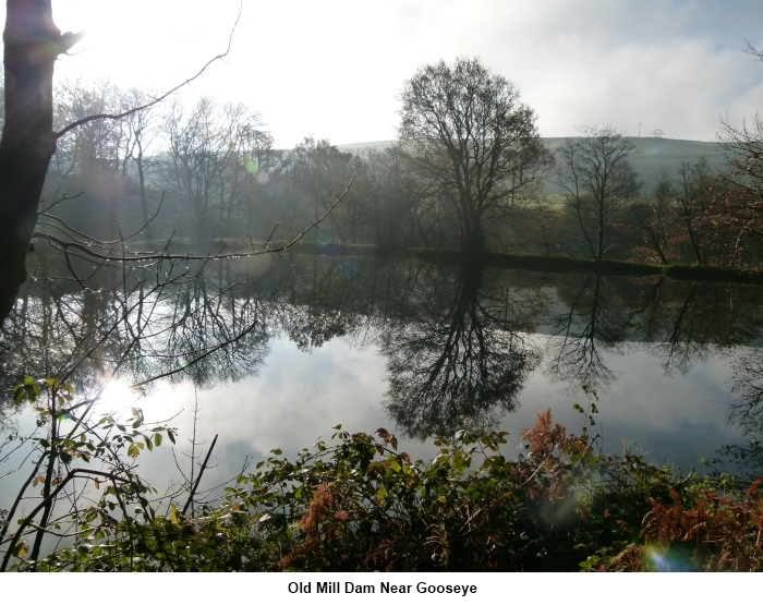 Old Mill dam at Gooseye