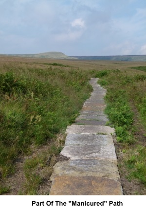 Part of the manicured path on PH Road