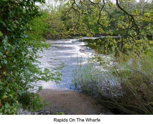 Rapids on the River Wharfe, Ilkley