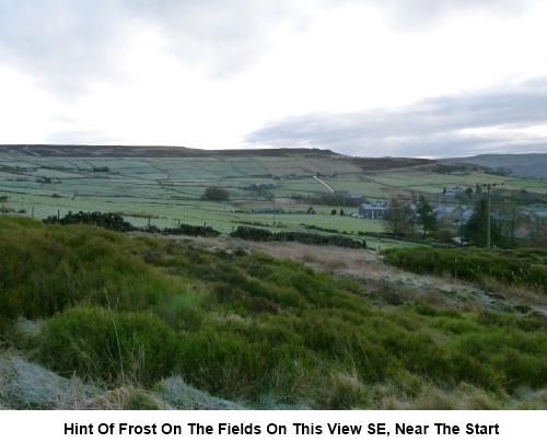 View SE with frost on the ground, near the start of the walk.