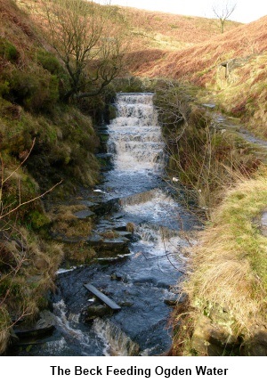 Beck feeding Ogden Water