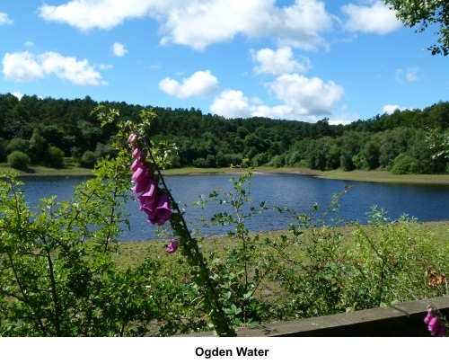 Ogden Water