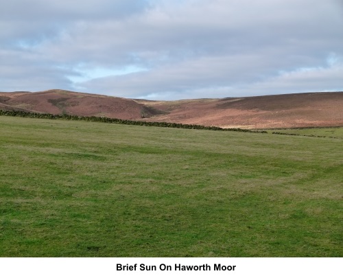 Sun on Haworth Moor