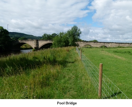 Pool Bridge