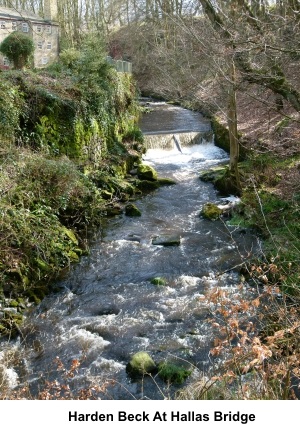 Harden Beck at Hallas Bridge