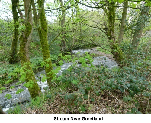 Stream near Greetland.