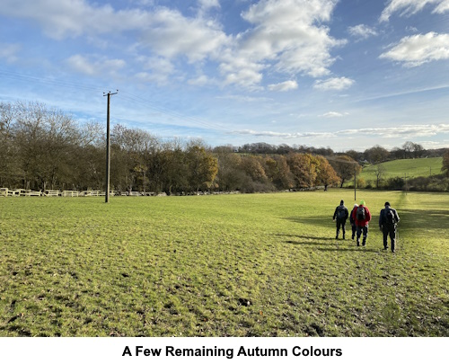 Heading down the field with a few autumn colours.