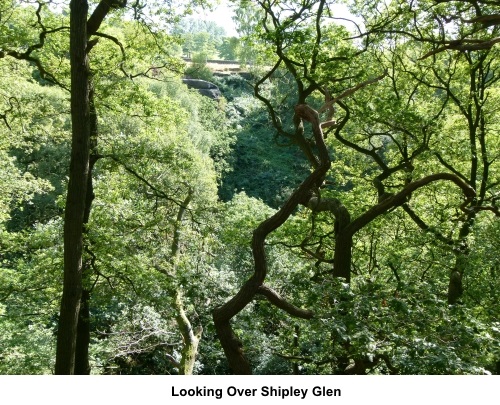 Looking over Shipley Glen