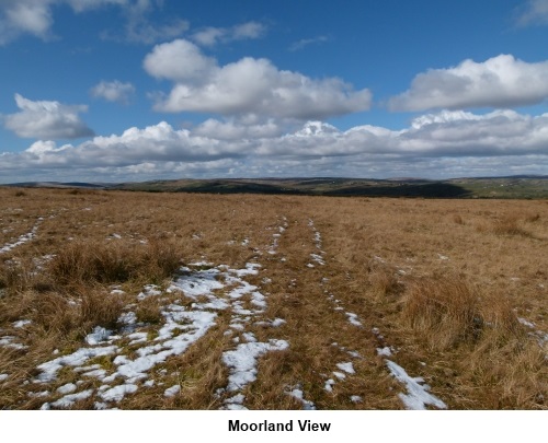 Moorland view