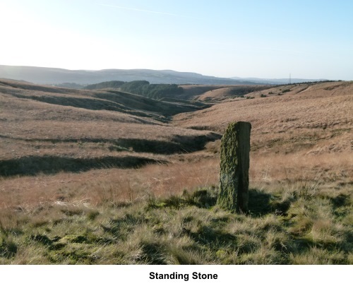 Standing Stone