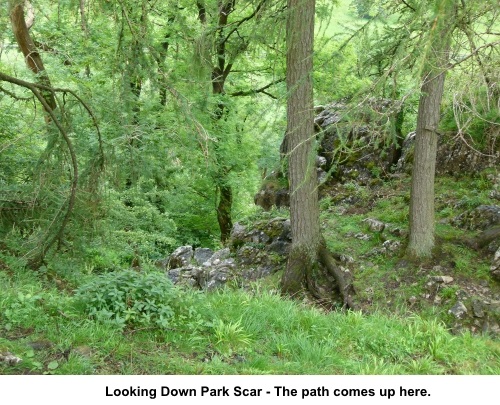 Looking down Park Scar