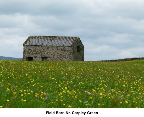 Field barn near Carpley Green