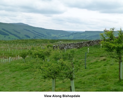 View along Bishopdale