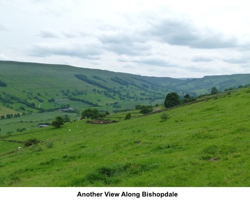 Another view along Bishopdale