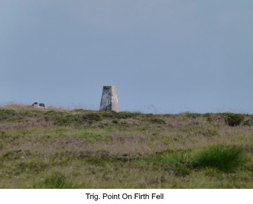 Trig. point on Firth Fell.