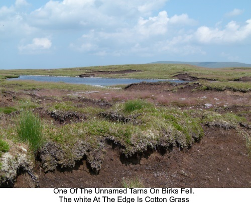 One of the unnamed tarns on Birks Fell.