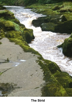 The Strid