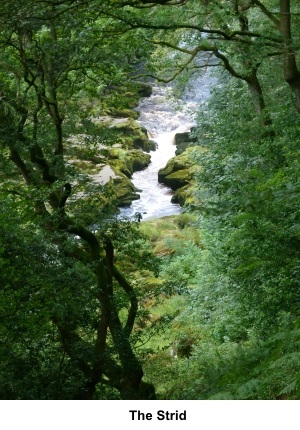 The Strid