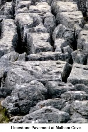 Limestone Pavement at Malham Cove