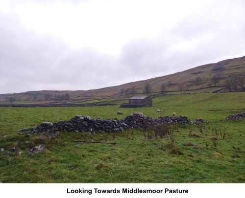 Looking towards Middlesmoor Pasture