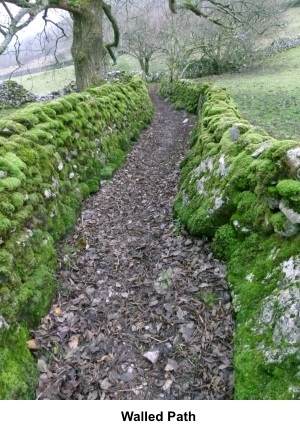 walled path