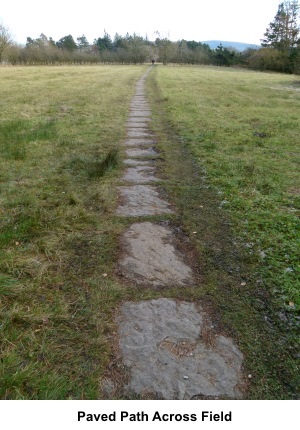 Paved path across field