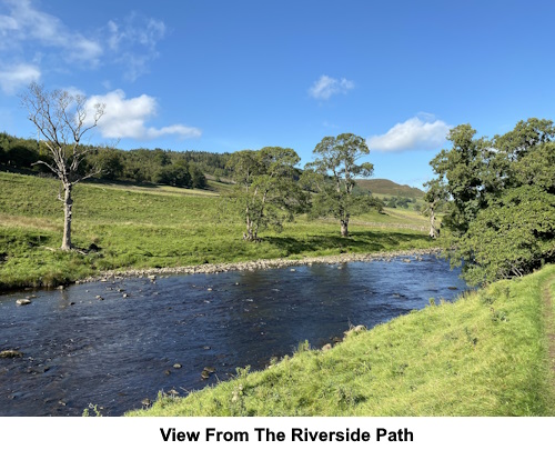 The River Wharfe from the riverside path.